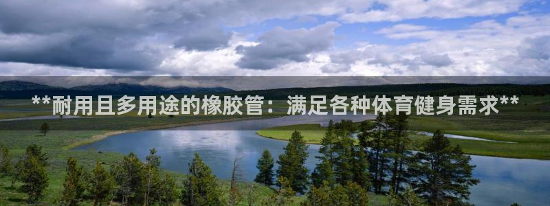 尊龙凯时提不了款：**耐用且多用途的橡胶管：满足各种