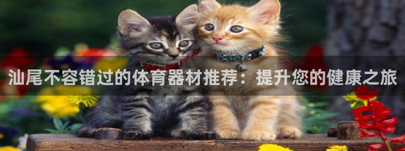尊龙凯时网娱乐最新版：汕尾不容错过的体育器材推荐：提