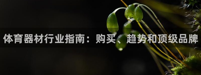 尊龙人生手机版：体育器材行业指南：购买、趋势和顶级品