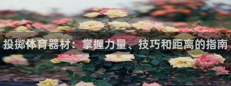 尊龙凯时公司官网：投掷体育器材：掌握力量、技巧和距离