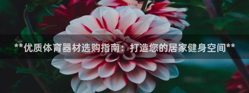 尊龙官网在哪里：**优质体育器材选购指南：打造您的居