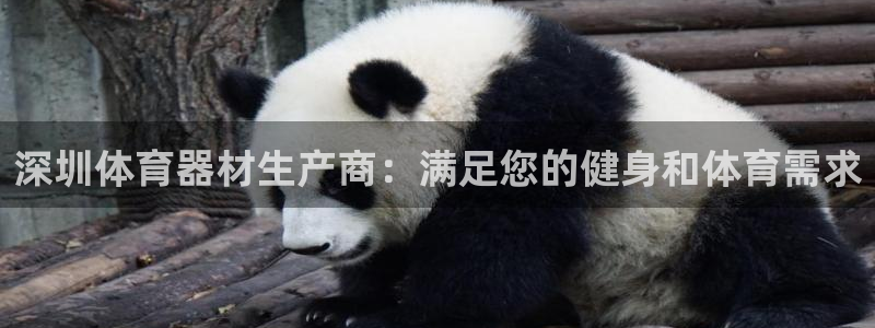 国际凯时ag优质运营商：深圳体育器材生产商：满足您的