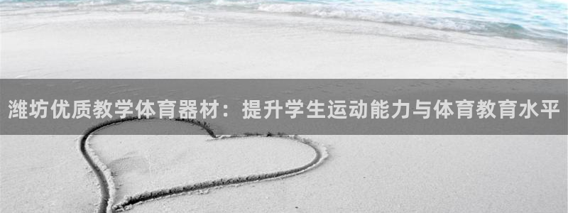 尊龙体育游戏平台：潍坊优质教学体育器材：提升学生运动