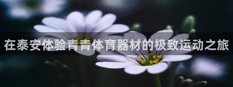 尊龙官网APP下载：在泰安体验青青体育器材的极致运动