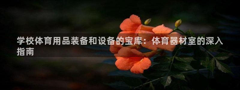 尊龙新版人生就是博!：学校体育用品装备和设备的宝库：