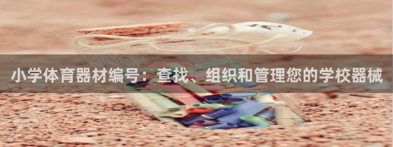 尊龙凯时vip：小学体育器材编号：查找、组织和管理您