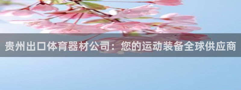 尊龙登录地址：贵州出口体育器材公司：您的运动装备全球