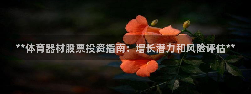 尊龙实业有限公司：**体育器材股票投资指南：增长潜力