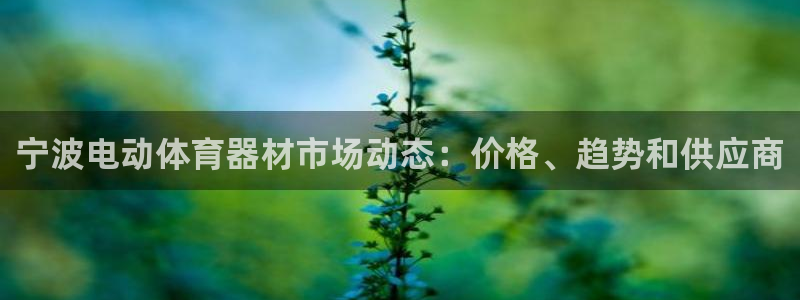 尊龙公司：宁波电动体育器材市场动态：价格、趋势和供应