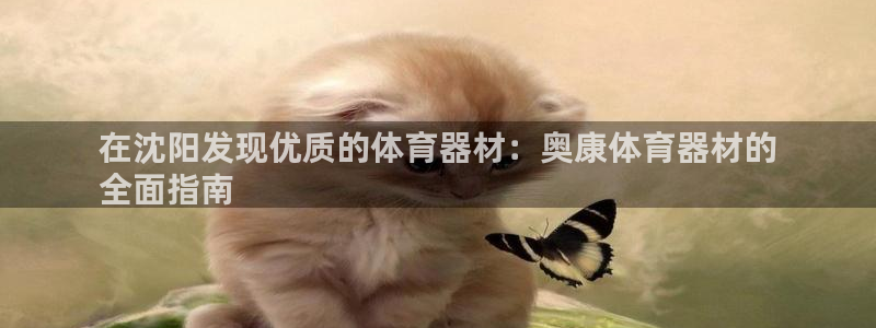 尊龙/人生就是博：在沈阳发现优质的体育器材：奥康体育