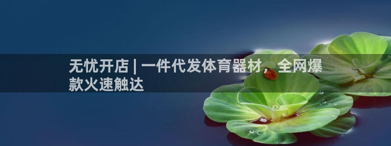 尊龙凯时平台信誉怎样：无忧开店 | 一件代发体育器材