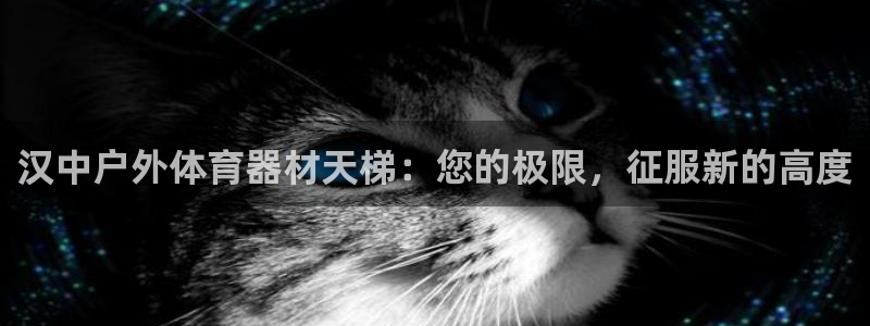 凯时网址多少：汉中户外体育器材天梯：您的极限，征服新