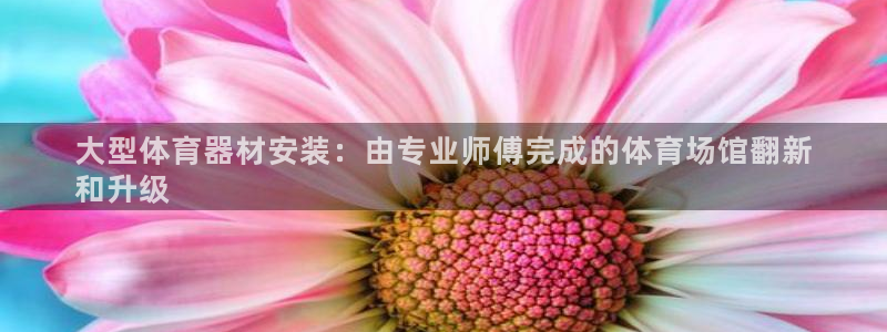 尊龙官网国际：大型体育器材安装：由专业师傅完成的体育