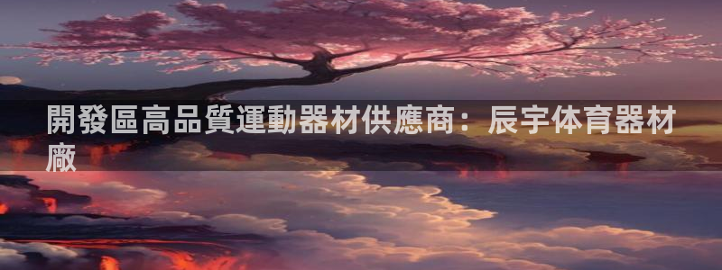 尊龙官方网站是真的吗：開發區高品質運動器材供應商：辰