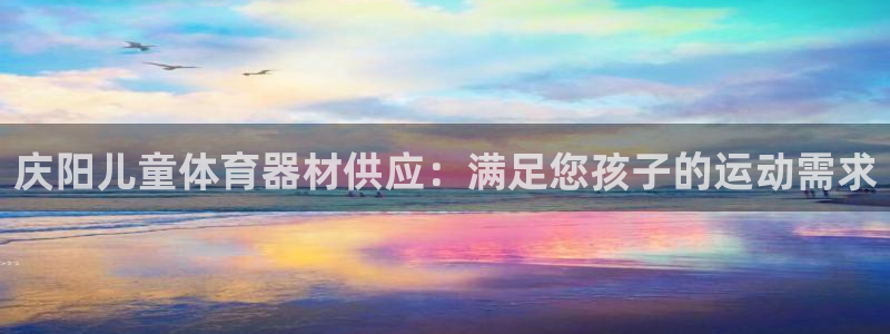 尊龙AG旗舰厅app下载：庆阳儿童体育器材供应：满足