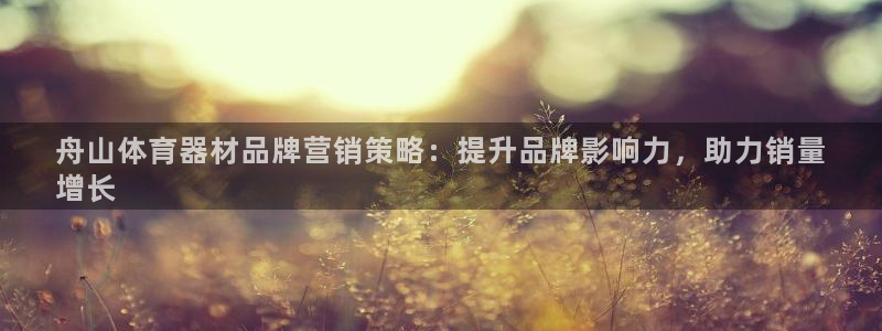 尊龙凯时正规吗：舟山体育器材品牌营销策略：提升品牌影