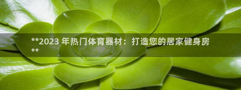 尊龙凯时能不能提现?：**2023 年热门体育器材：