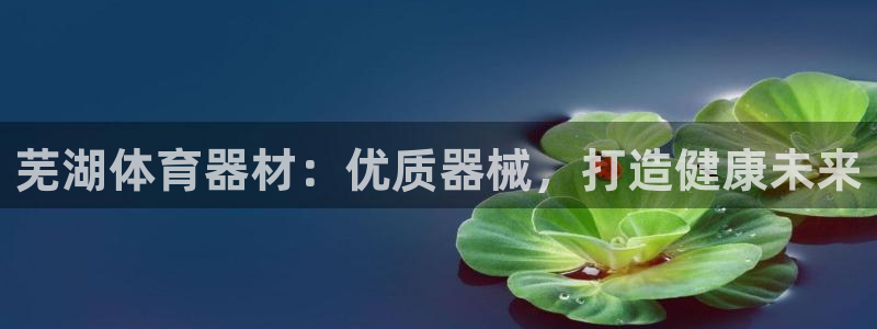 尊龙z6平台：芜湖体育器材：优质器械，打造健康未来