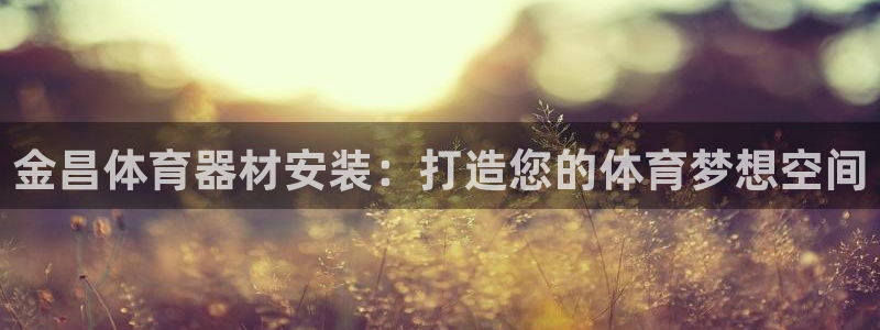 尊龙app官网登录：金昌体育器材安装：打造您的体育梦