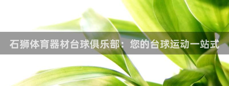 尊龙凯时法拉币：石狮体育器材台球俱乐部：您的台球运动