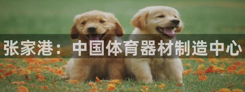 尊龙AG旗舰厅官网：张家港：中国体育器材制造中心