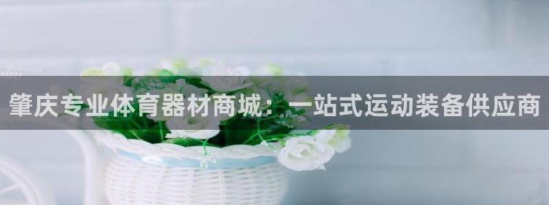 尊龙凯时代理佣金发不发：肇庆专业体育器材商城：一站式