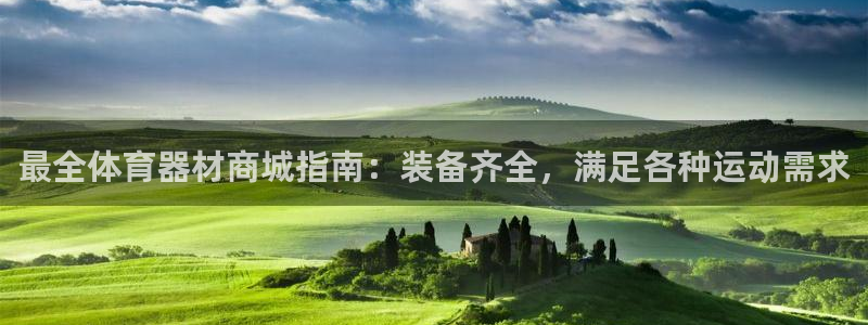 尊龙集团有限公司：最全体育器材商城指南：装备齐全，满
