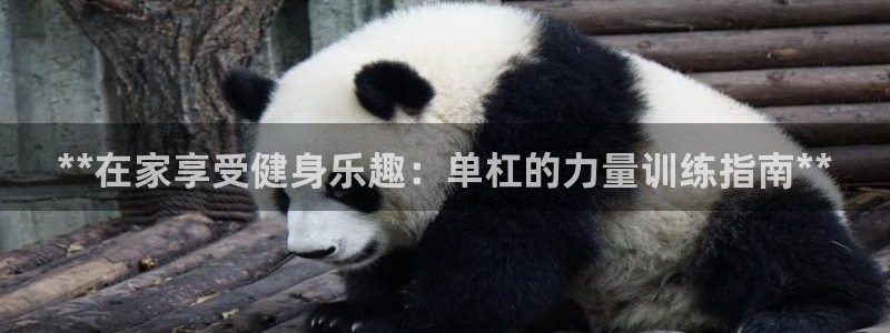 尊龙2016：**在家享受健身乐趣：单杠的力量训练指