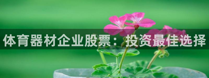 z6尊龙官网：体育器材企业股票：投资最佳选择