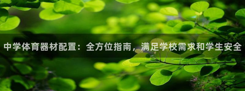 尊龙现金娱乐 下载：中学体育器材配置：全方位指南，满
