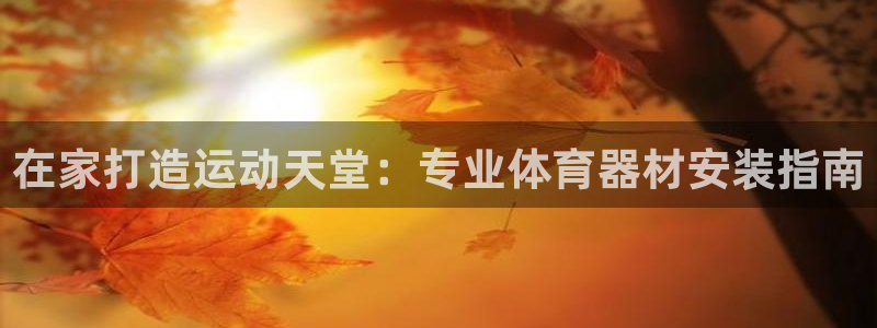 ag旗舰平台尊龙代言：在家打造运动天堂：专业体育器材