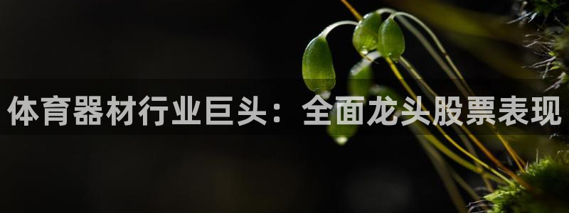 ag尊龙官方网站app：体育器材行业巨头：全面龙头股