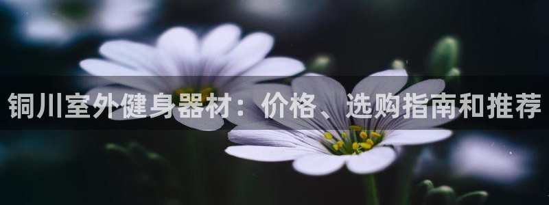 尊龙凯时代理能提出来不：铜川室外健身器材：价格、选购
