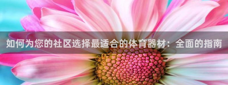 尊龙凯时app安装：如何为您的社区选择最适合的体育器