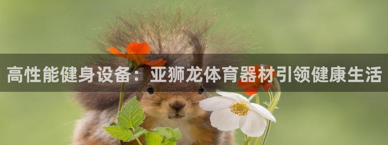 尊龙网址苹果版下载：高性能健身设备：亚狮龙体育器材引