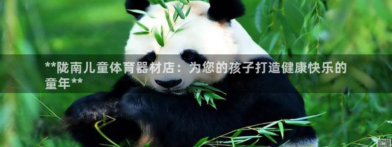 尊龙凯时干什么的：**陇南儿童体育器材店：为您的孩子