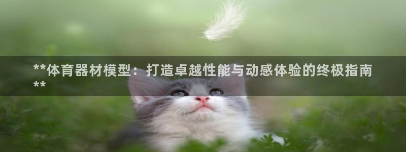尊龙网址苹果版下载：**体育器材模型：打造卓越性能与