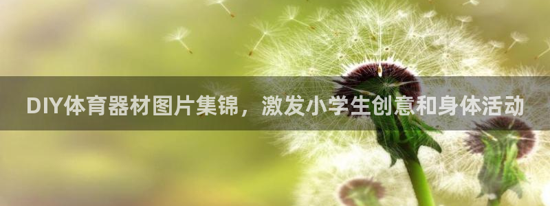尊龙app认可ag发财网：DIY体育器材图片集锦，激