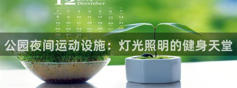 尊龙官网/首选kpm：公园夜间运动设施：灯光照明的健