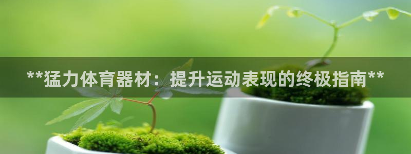 尊龙凯时麻将胡了：**猛力体育器材：提升运动表现的终