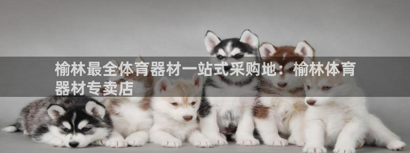 KB88凯时官网登录：榆林最全体育器材一站式采购地：