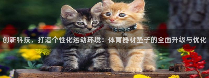 尊龙人生就是博一下下