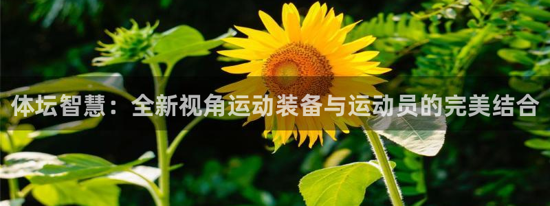 尊龙凯时平台不给出款怎么办