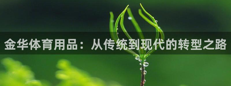 尊龙官方网站