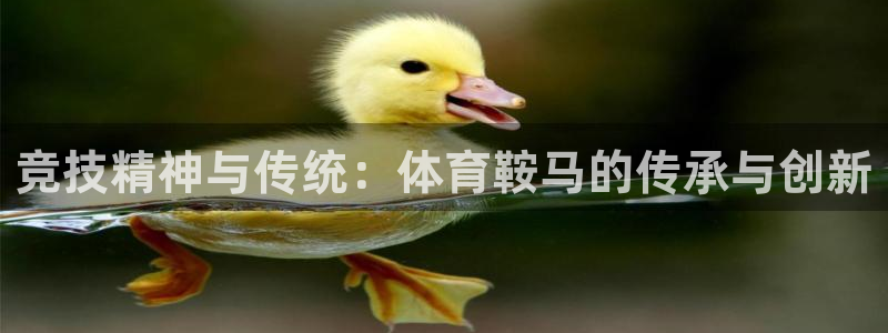 凯时kb88官网网址