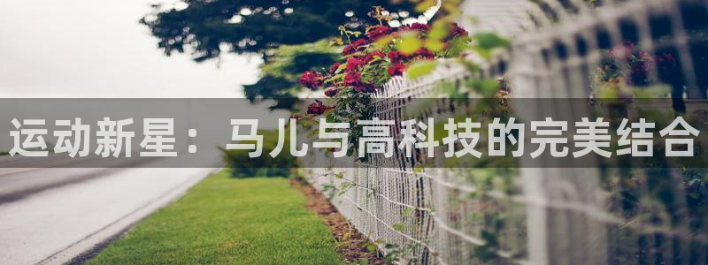 尊龙app怎么样