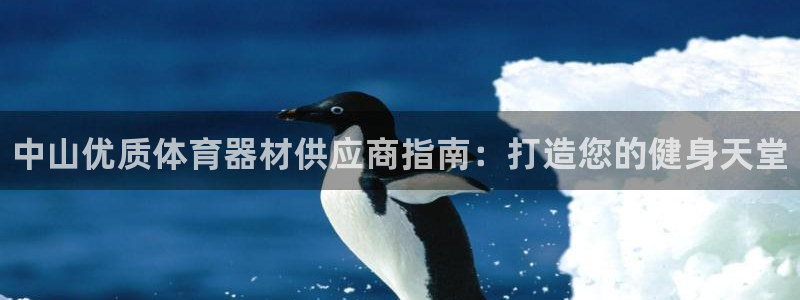 尊龙凯时怎么注销账号：中山优质体育器材供应商指南：打造您的健